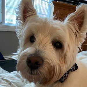 Meet your Posher, Stacey